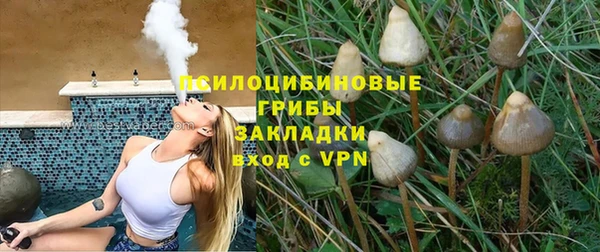 индика Алексеевка