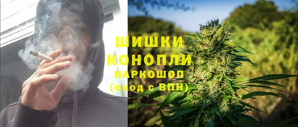 индика Алексеевка