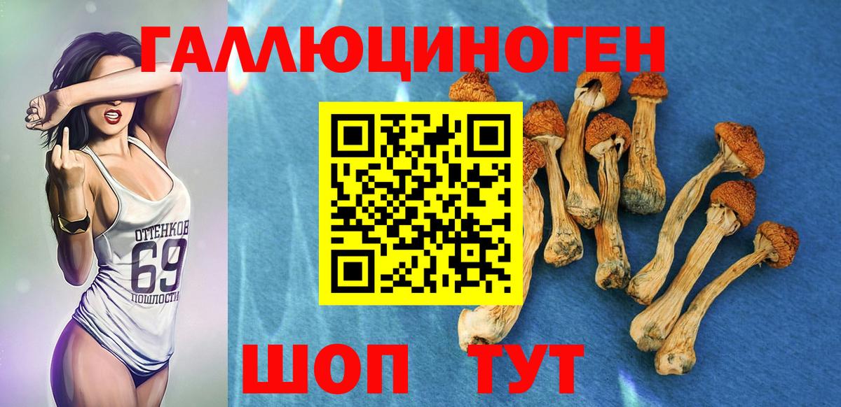 Псилоцибиновые грибы Psilocybe Салават