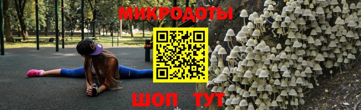 что такое   Вход с VPN  Салават  Галлюциногенные грибы Psilocybe 